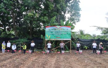 Polres Bangka Selatan Tanam Jagung Serentak dan Gelar Gerakan Pangan Murah Serta Pengobatan Gratis