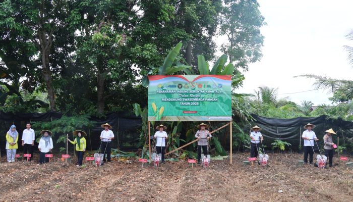 Polres Bangka Selatan Tanam Jagung Serentak dan Gelar Gerakan Pangan Murah Serta Pengobatan Gratis