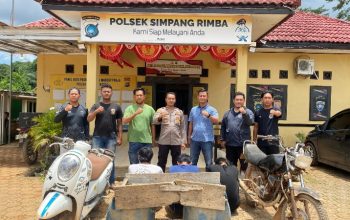 Polsek Simpang Rimba Tangkap Tiga Pelaku Pencurian Sawit di Perkebunan PT BAM