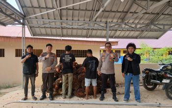 Polsek Lepar Pongok Bongkar Penggelapan Sawit di PT SNS, Dua Pelaku Diciduk Polisi