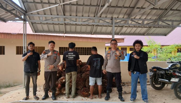 Polsek Lepar Pongok Bongkar Penggelapan Sawit di PT SNS, Dua Pelaku Diciduk Polisi