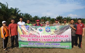 Dukung Ketahanan Pangan, Polsek Toboali dan Payung Tanam Jagung 2 Hektar