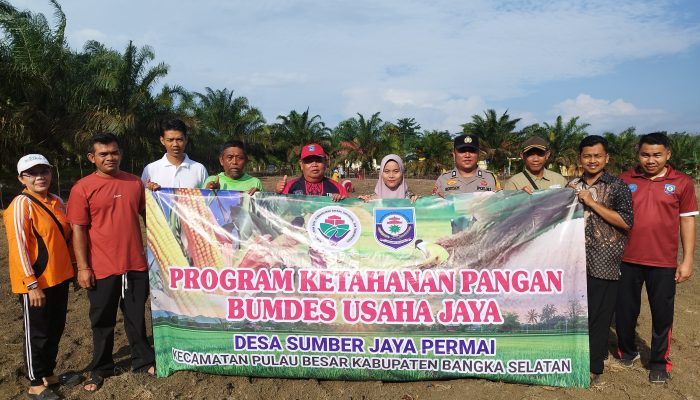Dukung Ketahanan Pangan, Polsek Toboali dan Payung Tanam Jagung 2 Hektar