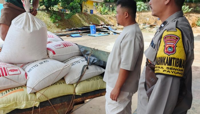 Polsek Payung Salurkan Jagung Pipil Warga Batu Betumpang ke Bulog Babel